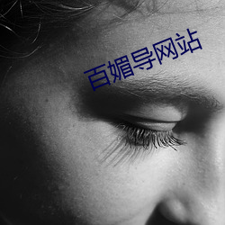 百媚导(導)网站