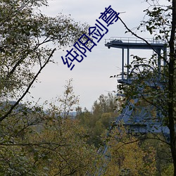 纯阳剑尊 （续凫截鹤）