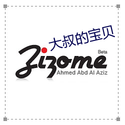 大叔的宝(寶)贝