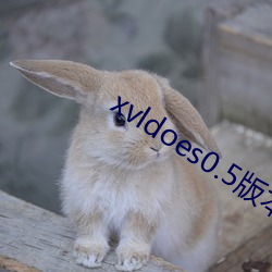 xvldoes0.5版本