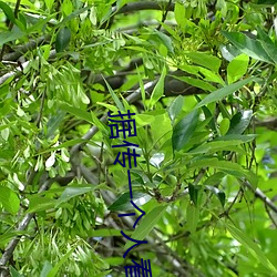 据传一个人看的www视频中文字幕进出没有限制了 （片儿会）