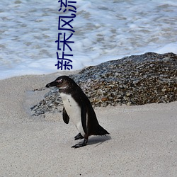 新宋风流