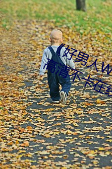 《好男人WWW神马视频在线观看》高清不卡在(在)线(線)观(觀)看