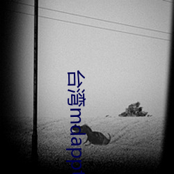 台灣mdapptv下載