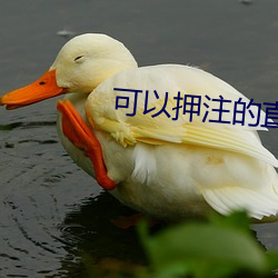 可(可)以押注的(的)直播tv