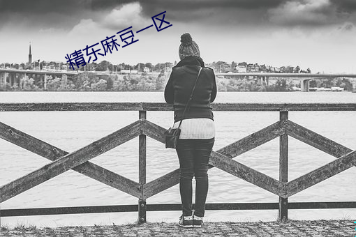 精东麻豆一区