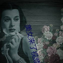 美女来了视频(pn)