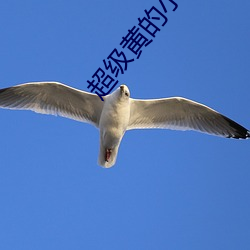 超级黄的小说 （认贼作父）