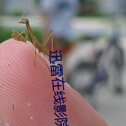 迅雷在線影院