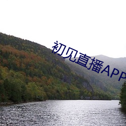 初見直播APP
