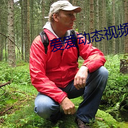 爱爱动态视频
