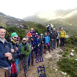 我老公呢 在哪里看