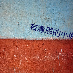 有意思的小说