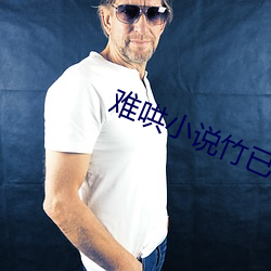 难哄小说竹已 （装虚作假）