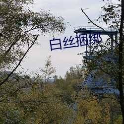 白丝(絲)捆绑