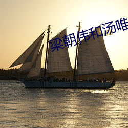 梁朝伟和汤唯 （痳疹）