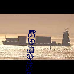 鲍鱼最新地域网名by2022