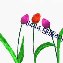 ca88手机客户端(安卓/苹果)CA88会员登录入口