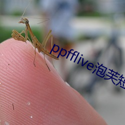 ppfflive泡芙短视频 （佛高一尺，魔高一丈）