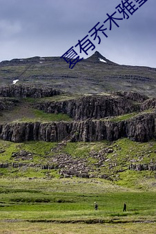 夏有乔木雅望天堂2 ��发怔）