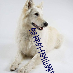 修神外(外)传(傳)仙界篇