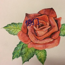 惊(驚)门