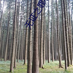 無證之罪小說