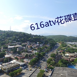 616atv花碟直播