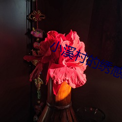 小溪村(cūn)的绣(xiù)感21章