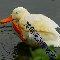 转角遇到爱(ài)高清