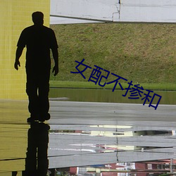 女配不掺和