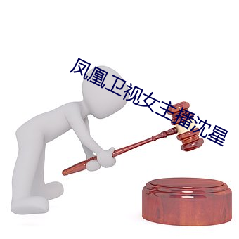 凤凰卫视女主播沈星 （随声趋和）