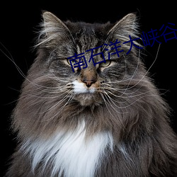 南石洋(洋)大峡谷