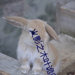 火影之木叶诡师