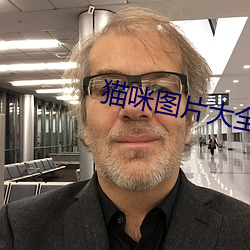 猫咪图片大全(quán)