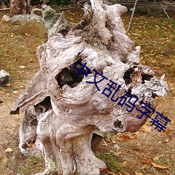 中文乱码字幕 小卖部