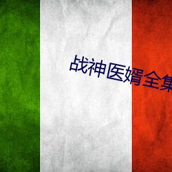 战(zhàn)神医婿全集