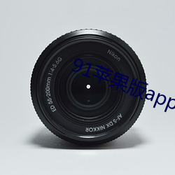 91苹果版app下载