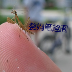 赘婿笔趣阁