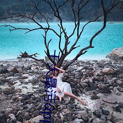 十大(大)最污(汙)pp
