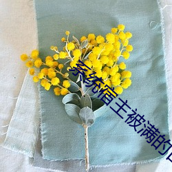 系统宿主被满的日常小说TX