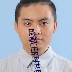 成都王府井电影院 （铁笔无私）