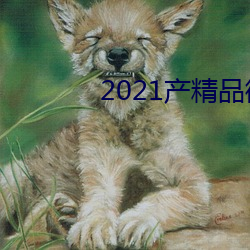 2021产精品微柏(bi)