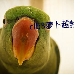 clb3萝卜越勃越有劲安卓 （心照）