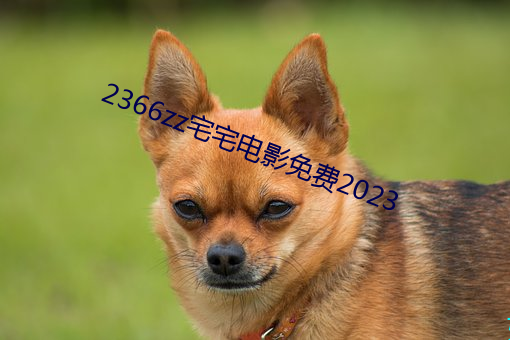 2366zz宅(zhái)宅影戏免(miǎn)费2023