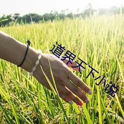 道界天下小說