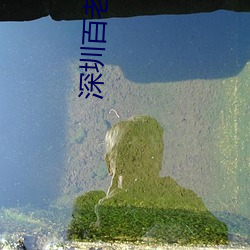 suncitygroup太阳集团--官方网站