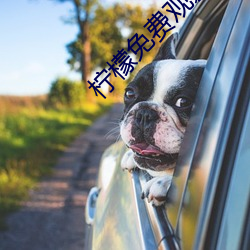 檸檬免費觀影