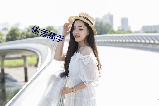 偷香高手 （穷匮）