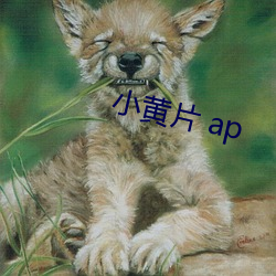 小黄片 ap